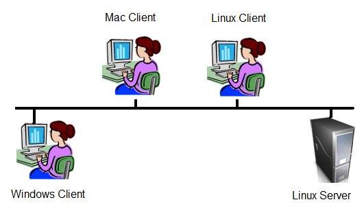 Client-Server Network